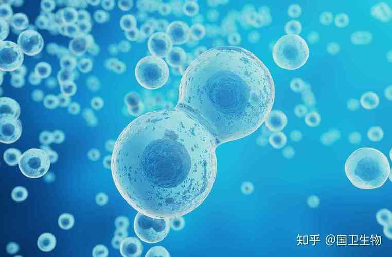 供卵试管代怀违法吗-供卵试管代怀违法吗？法律与道德的边界探讨