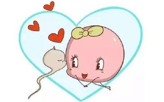 供卵试管代怀有哪些【供卵试管代怀：全面解析代孕流程及注意事项】