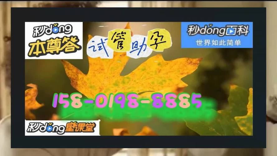 供卵试管代怀包男孩(供卵试管代怀包男孩的成长之路)