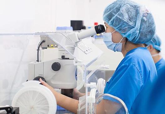 供卵试管代怀安全吗_供卵试管代怀安全吗?一探安全与风险