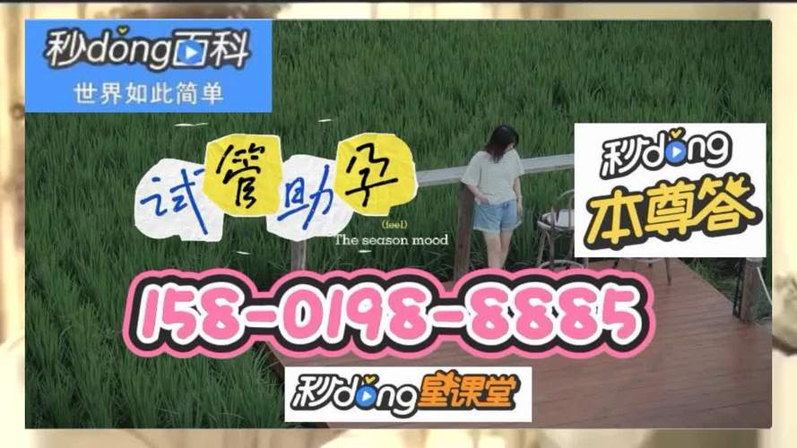 包生男孩的试管代怀公司-试管代怀公司：包生男孩的最佳选择