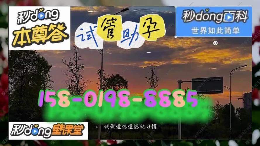 国内供卵试管代怀咨询(国内供卵试管代怀咨询服务专家指导)