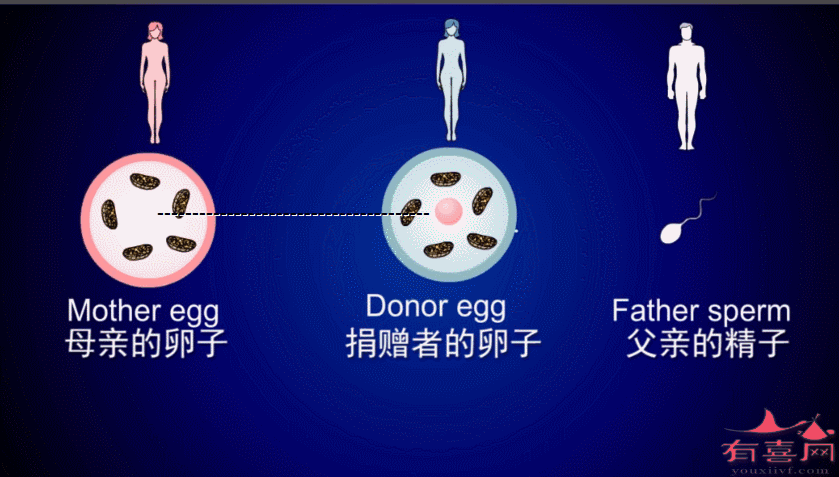 国内供卵试管代怀qq群-国内供卵试管代怀QQ群交流大全