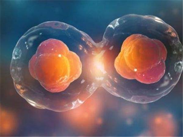 供卵试管代生男孩_实现梦想供卵试管代生男孩,让家庭更完整”