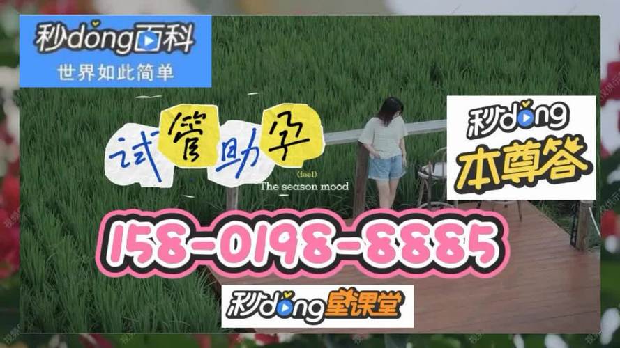 供卵试管代怀微信群(试管代怀微信群,共享供卵资源)