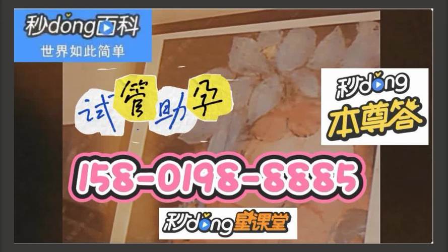 供卵试管代怀公司哪家好-供卵试管代怀公司哪家好？选择最佳代怀机构的关键指南