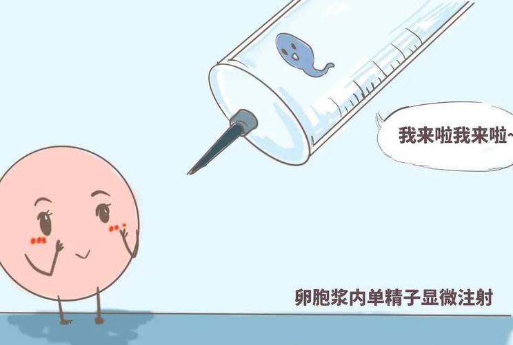 国内代生男孩咨询【国内代生男孩咨询服务指南】